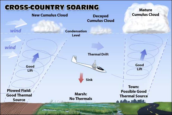 How Gliders Fly, How Gliders Fly, Beverley Soaring Society